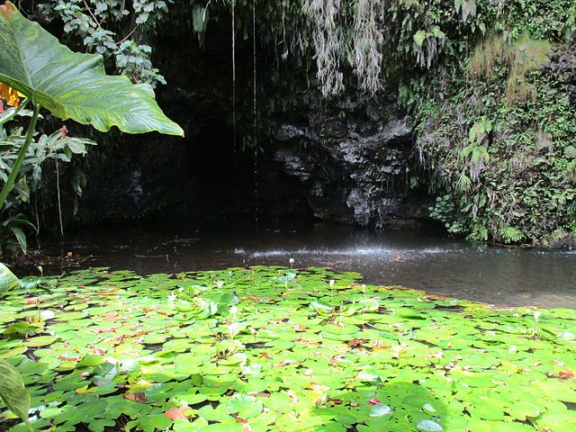 Grotte teanateatea ou grottes de mara'a à Pae'a