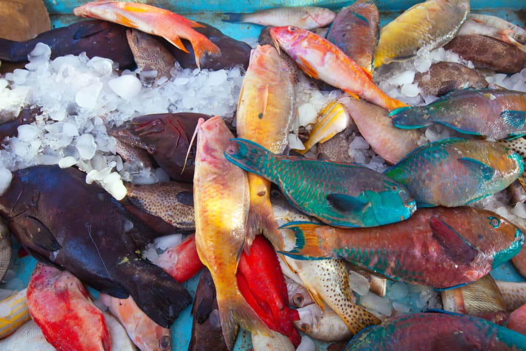 raw fish on market counter