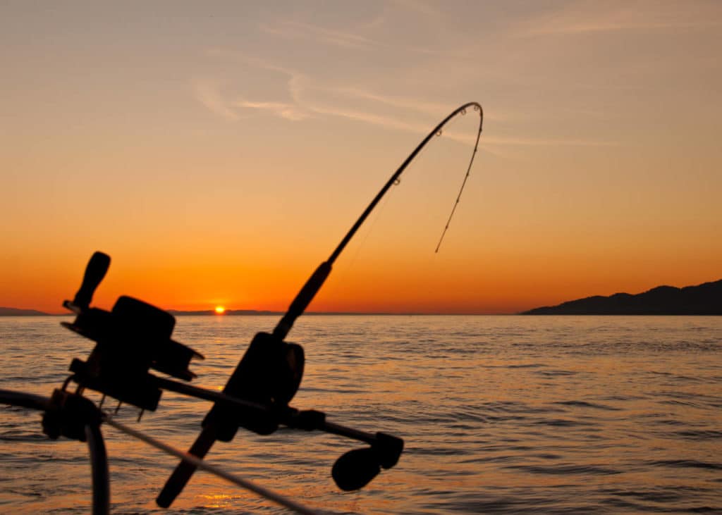 Beautiful sunset landscape with a fishing rod