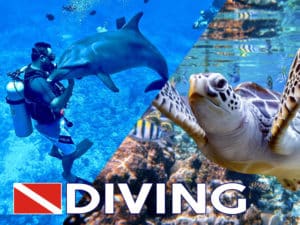 diving pack tahiti